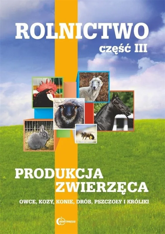 edukamp-1202606111150167825