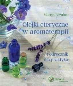 edukamp-12026061121412049005