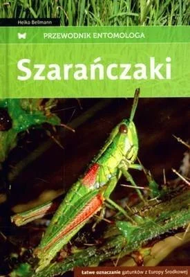 edukamp-12026061207165786938