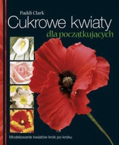 edukamp-120260613033538220015