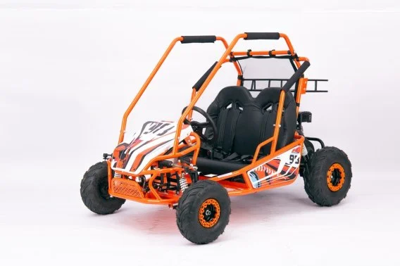 edukamp-120260613055404233666