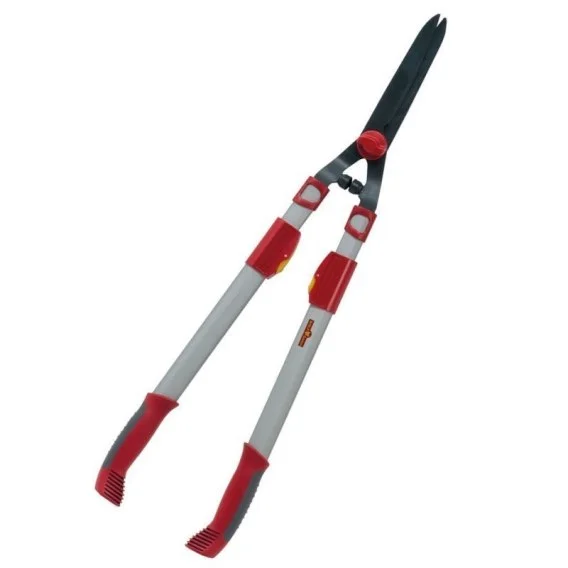 edukamp-120260613195452315771