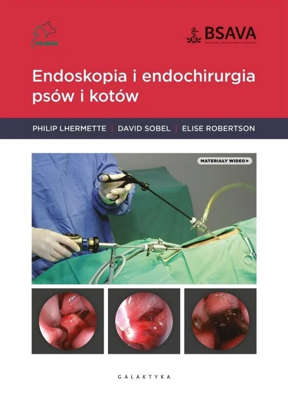 edukamp-120260614004814351928