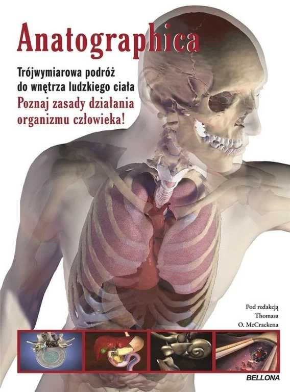 edukamp-120260614080436383146