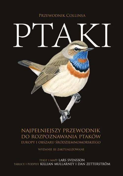 edukamp-120260615064315508344