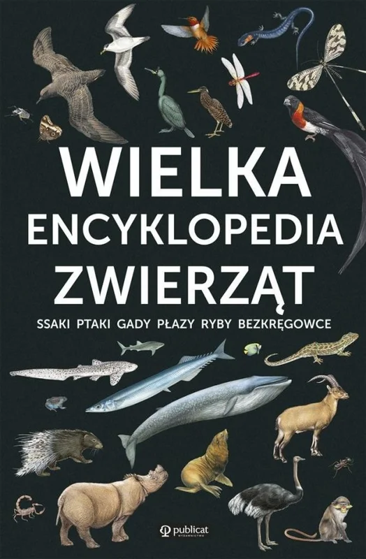 edukamp-120260615151016525953