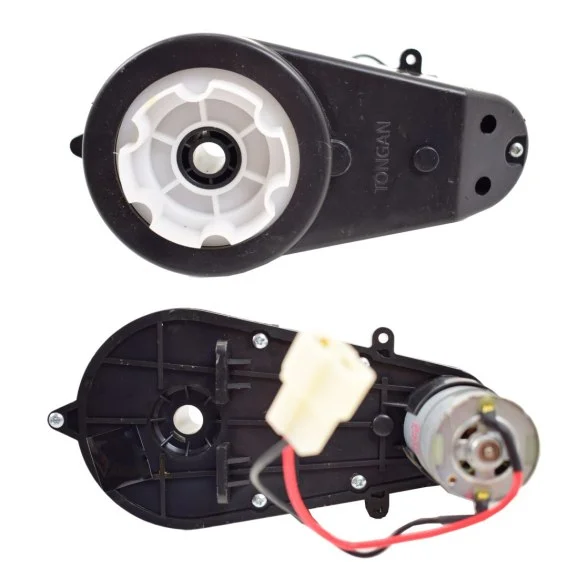 edukamp-120260615153651526860