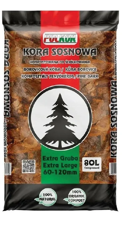 edukamp-120260616032745563068