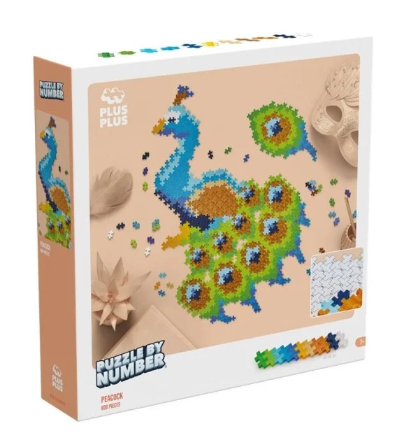 edukamp-120260616113331593706