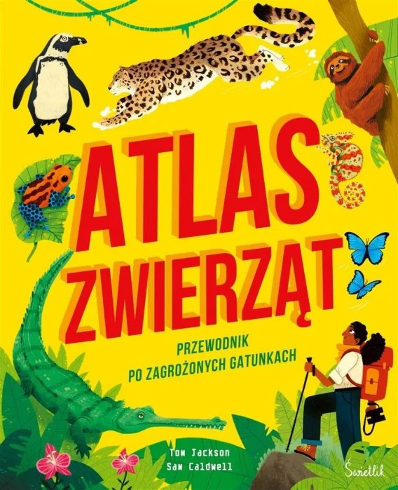 edukamp-2202606101517403579419