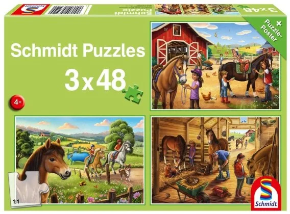 edukamp-2202606110323253650433