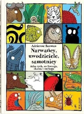 edukamp-2202606110332143650990