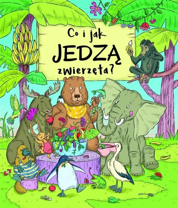 edukamp-2202606110442393655377