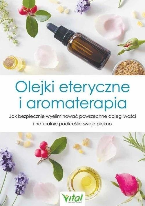 edukamp-2202606110607513660566