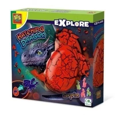 edukamp-2202606110643133662673
