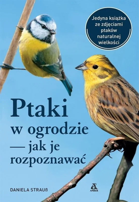 edukamp-220260611092846282