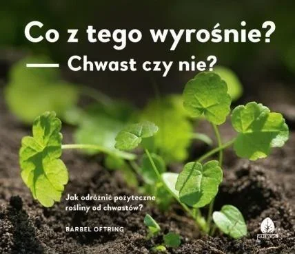edukamp-220260611094311877
