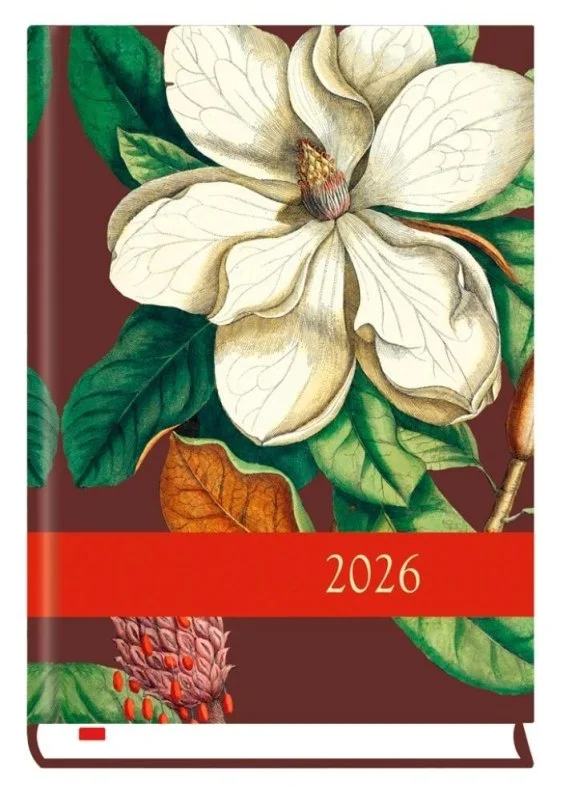 edukamp-22026061117184531121