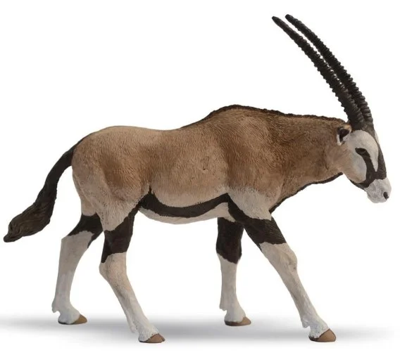 edukamp-22026061118382636883