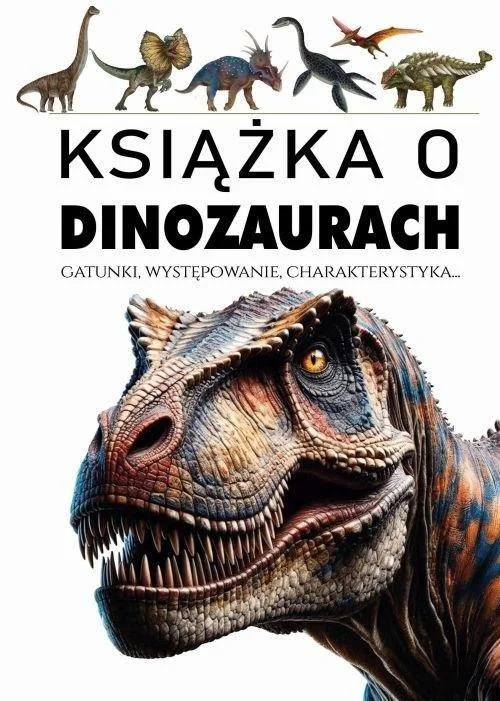 edukamp-22026061119481741944