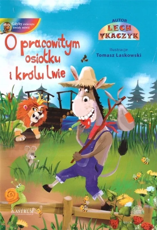 edukamp-22026061120094743348