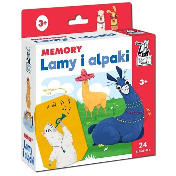 edukamp-22026061122312352048