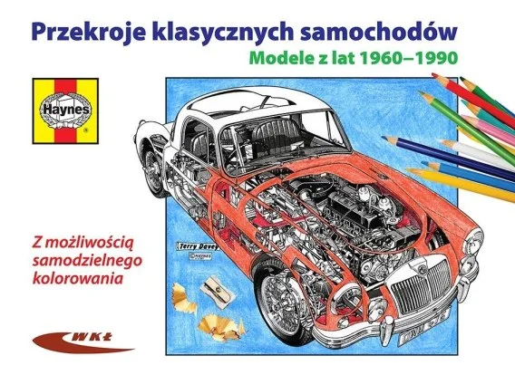 edukamp-22026061122545853435