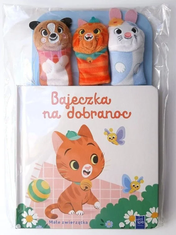 edukamp-22026061122561353514