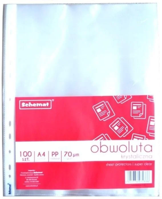 edukamp-22026061123233355100