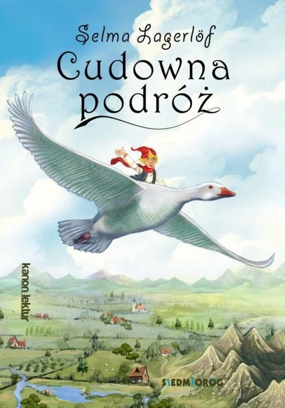 edukamp-22026061201463465141
