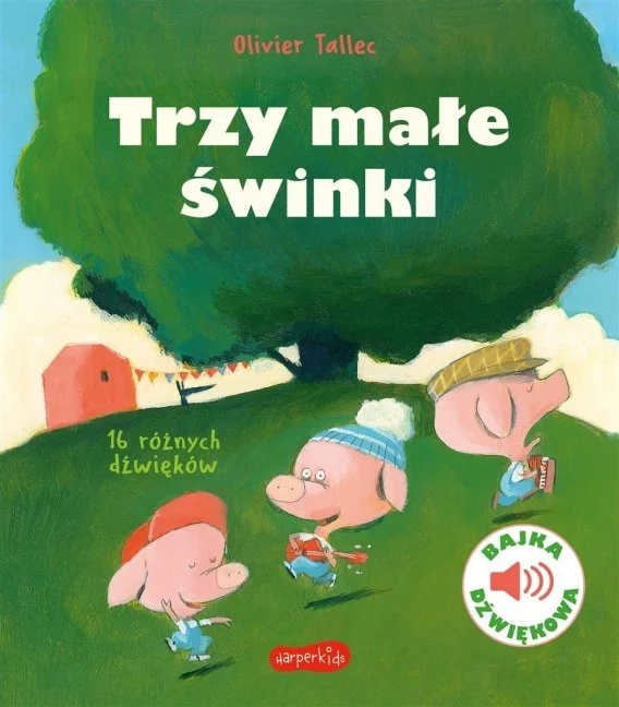 edukamp-22026061203251972223