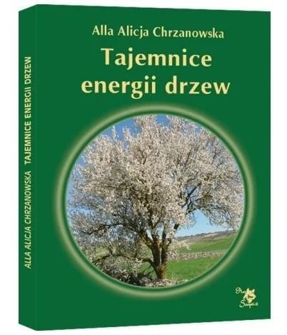 edukamp-22026061204035575031