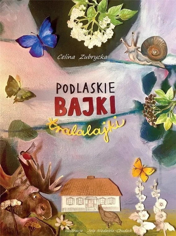 edukamp-22026061205423382232