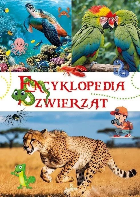 edukamp-22026061206121484148