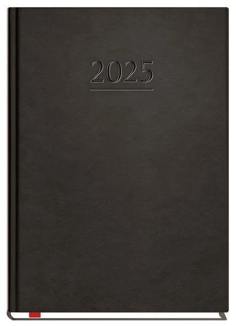edukamp-22026061208503790981