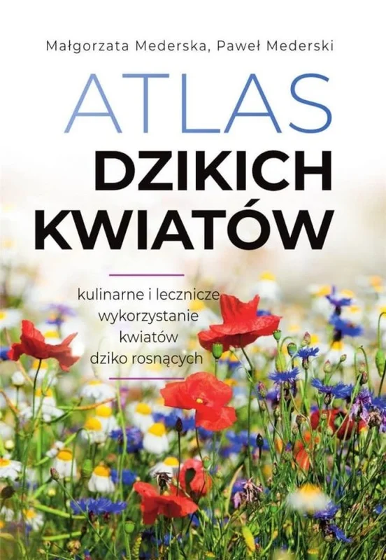 edukamp-220260612114102112739