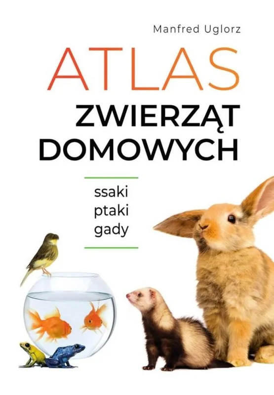 edukamp-220260612114526113274