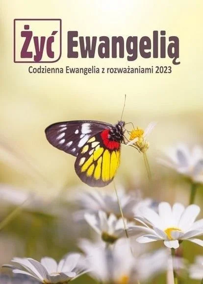 edukamp-220260612152429126391