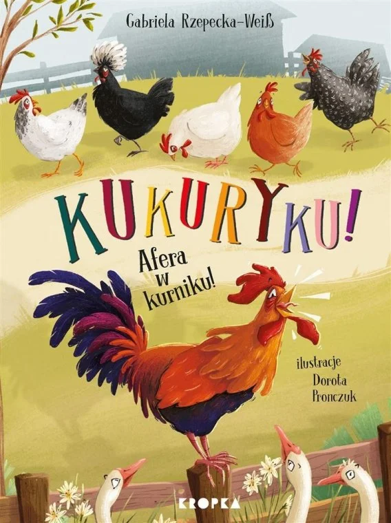 edukamp-220260612182745142936