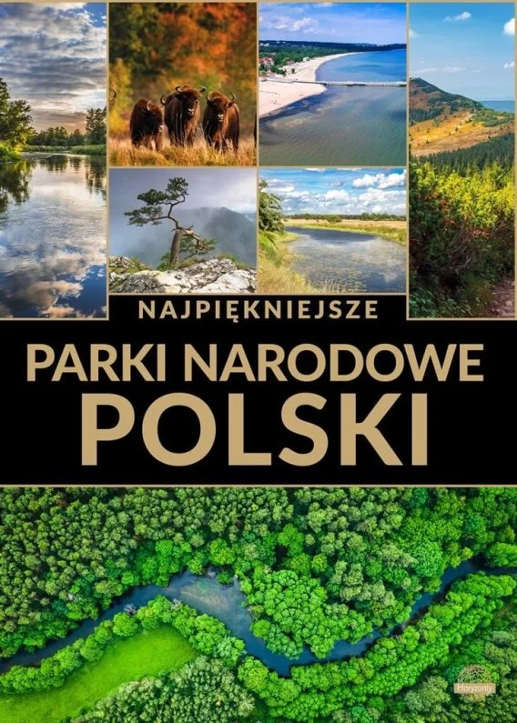 edukamp-220260612232131186513