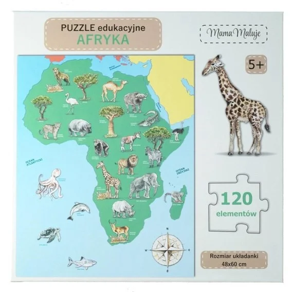 edukamp-220260613085322249145