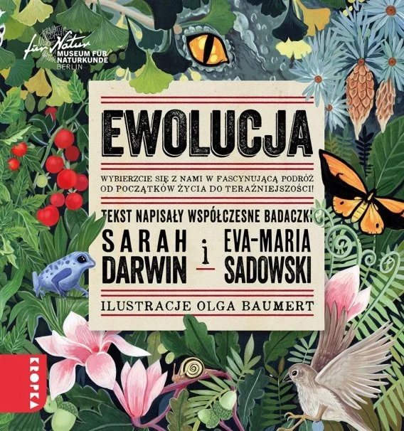 edukamp-220260614112312391855