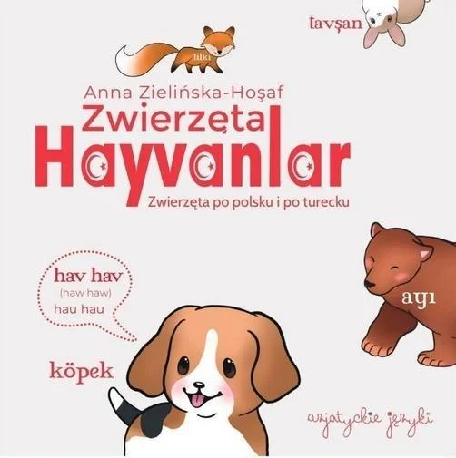 edukamp-220260614124918395799