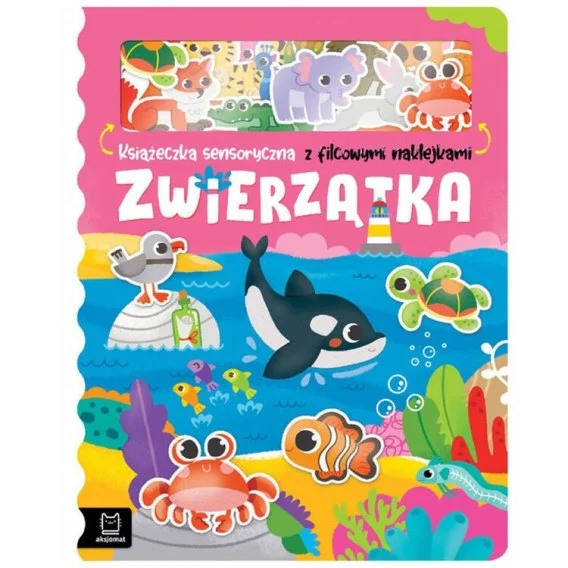 edukamp-220260615055651506729