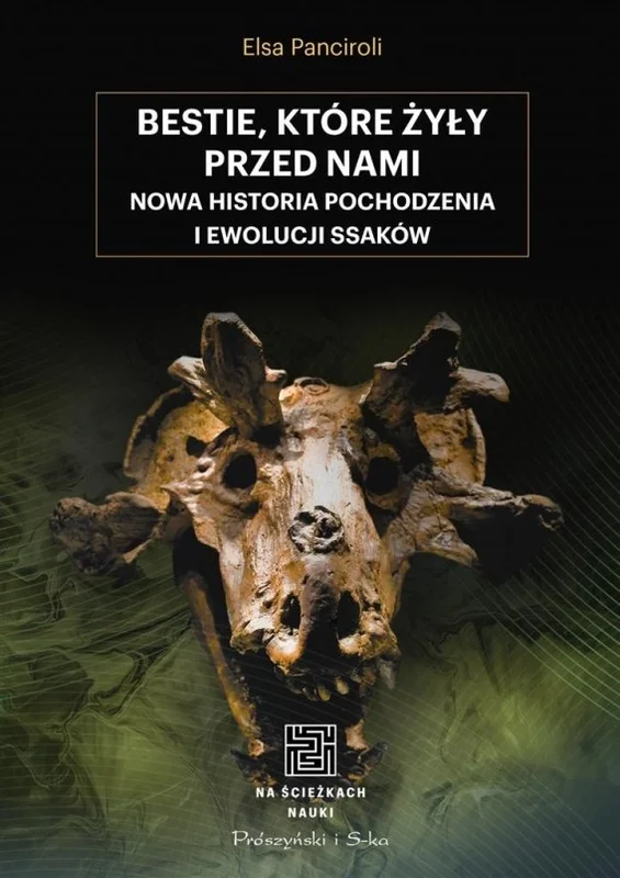 edukamp-220260615070101508979