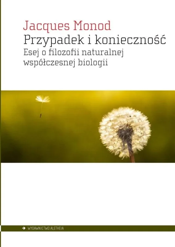 edukamp-220260615165254537270