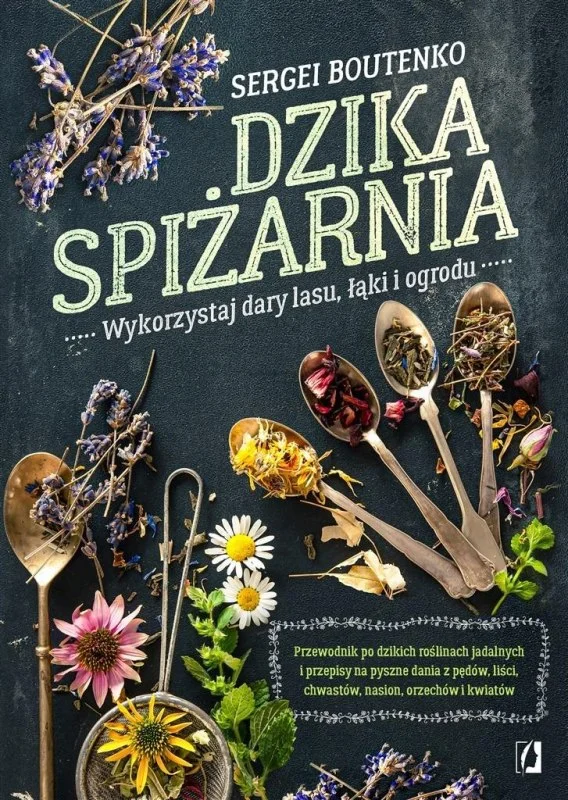 edukamp-220260616093648576684