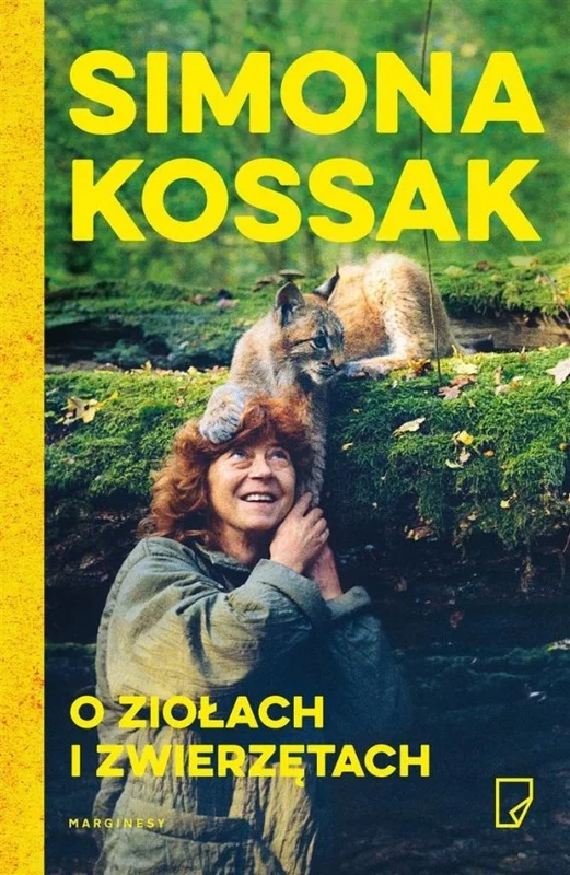 edukamp-220260616113203593428