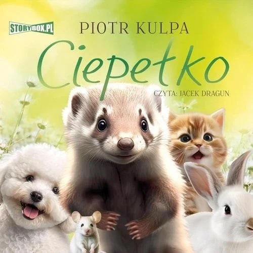 edukamp-3202606101104293537359