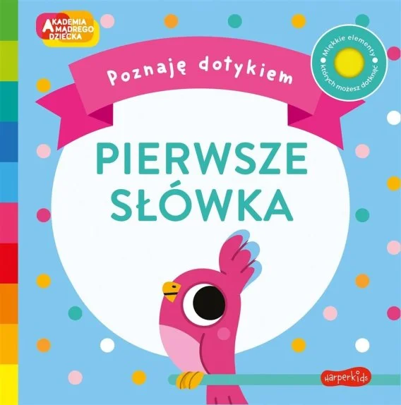 edukamp-3202606101126573540584